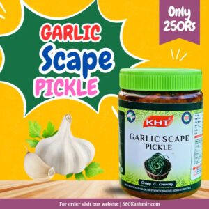KHT Garlic Scape Pickle