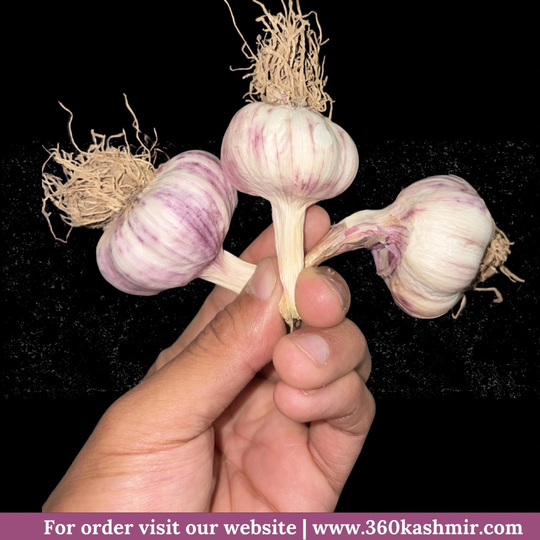 Kashmiri Garlic / 1 kg